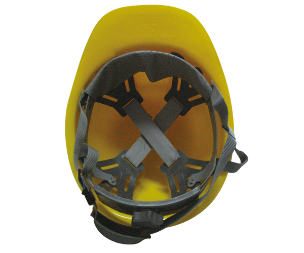 SFH-P-1