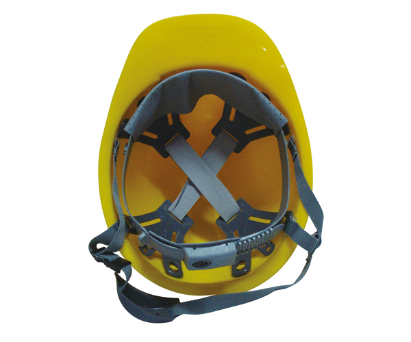 SFH-P-1